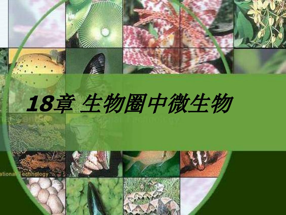 北师大版生物八上第十八《章