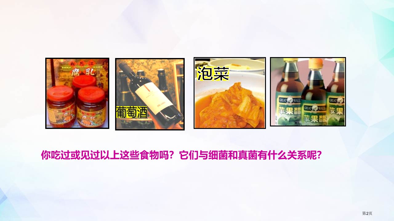 人类对细菌和真菌的利用市公开课一等奖省优质课获奖课件