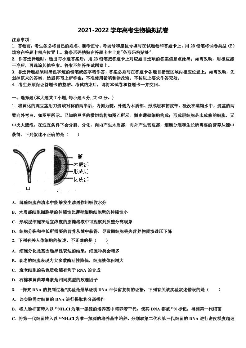 2022届黑龙江省哈尔滨市哈尔滨师大附中高三下学期联合考试生物试题含解析