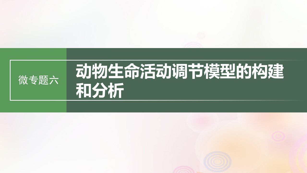 鲁湘辽新教材2024届高考生物一轮复习第八单元生命活动的调节微专题六动物生命活动调节模型的构建和分析课件