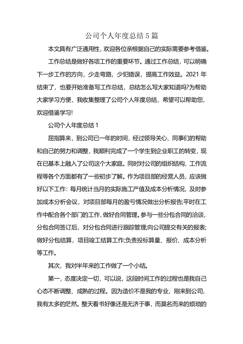 公司个人年度总结5篇