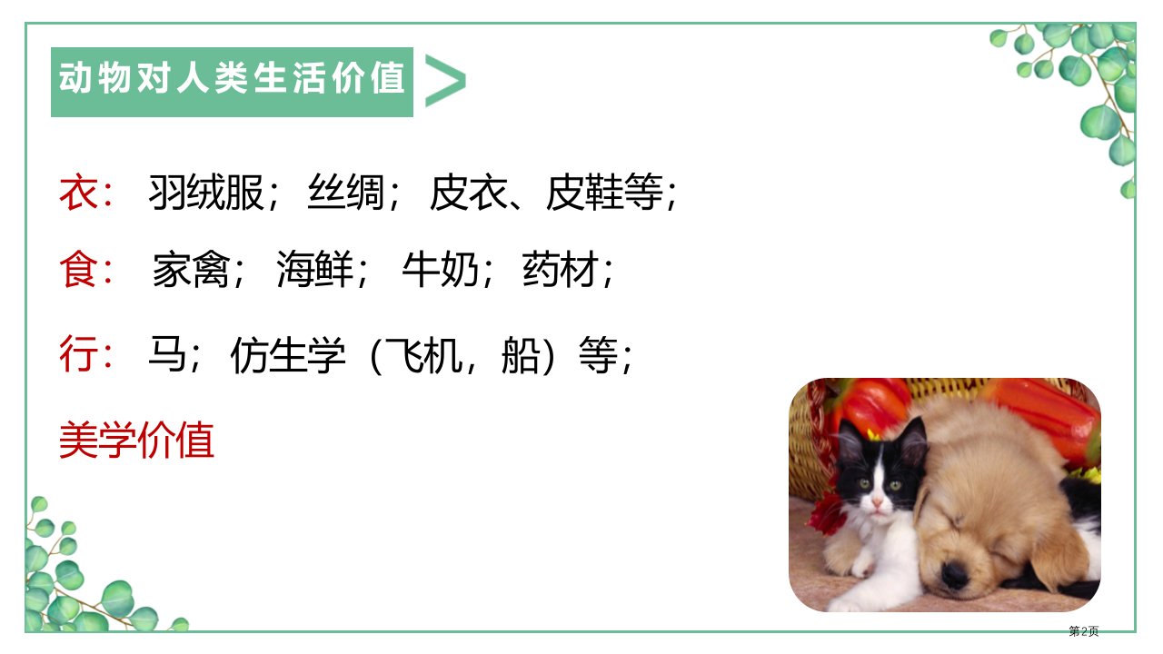 我国的动物资源及保护教学课件市公开课一等奖省优质课获奖课件