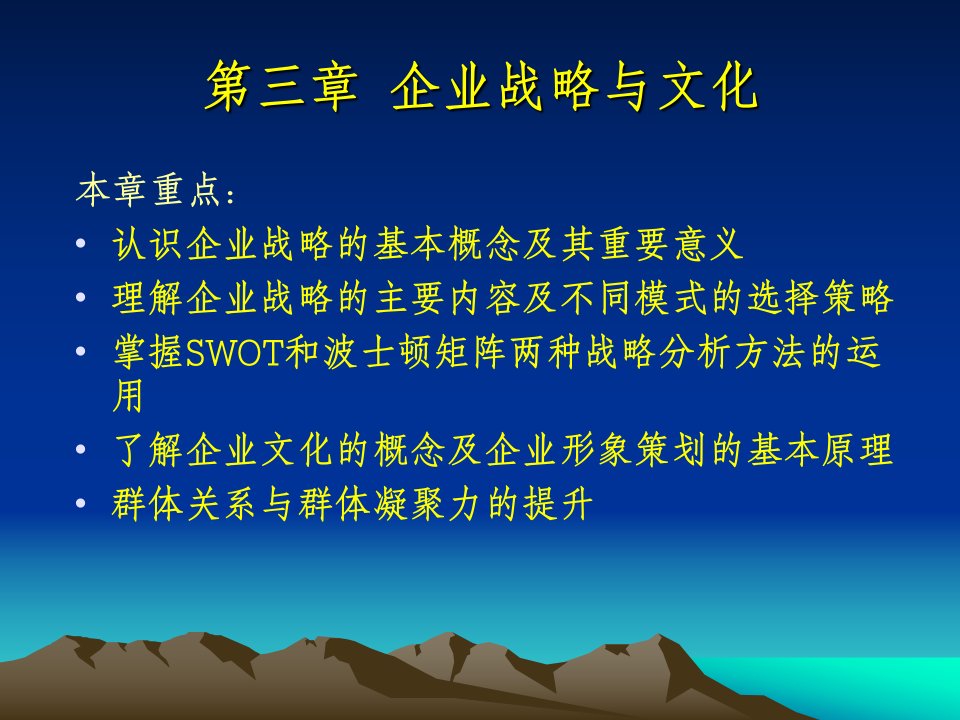 第三章企业战略与文化