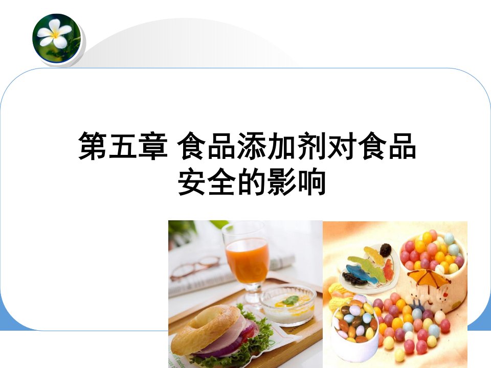 食品添加剂的安全性及控制ppt幻灯片课件