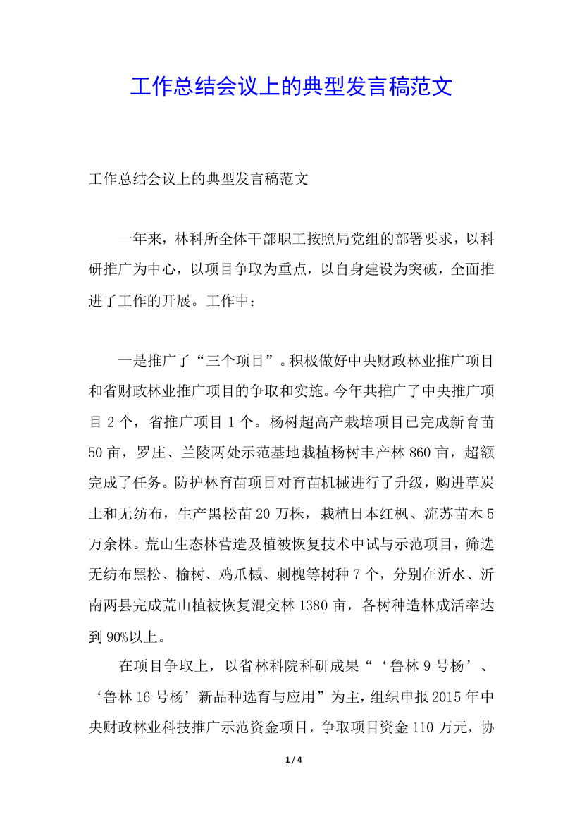 工作总结会议上的典型发言稿范文