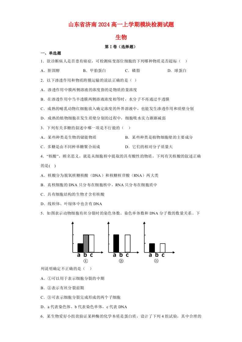 山东省济南2024