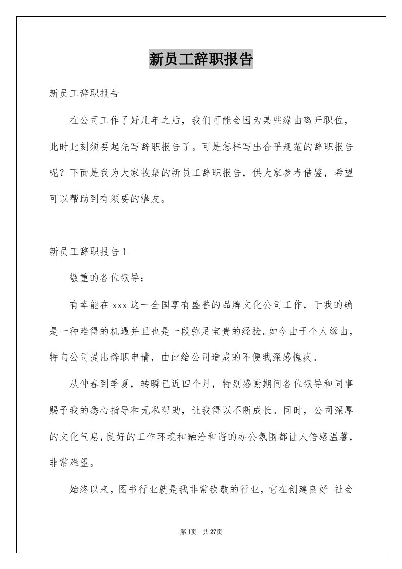 新员工辞职报告例文2