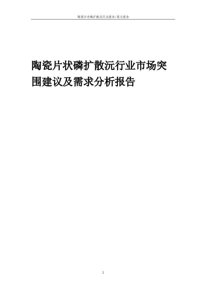 2023年陶瓷片状磷扩散沅行业市场突围建议及需求分析报告