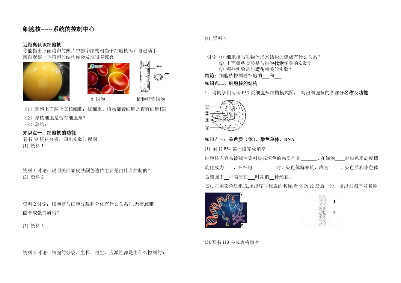 人教版教学教案高一生物第三章第三节学案：细胞核------系统的控制中心