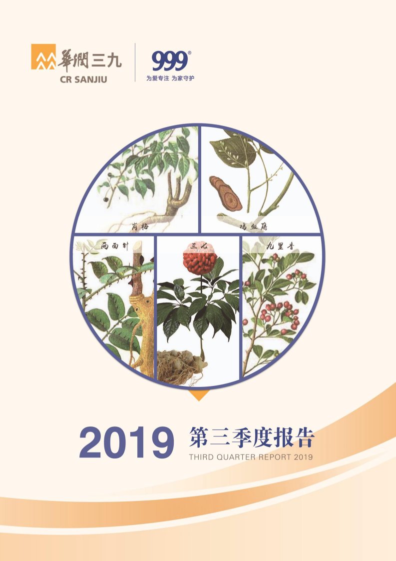 深交所-华润三九：2019年第三季度报告全文-20191030