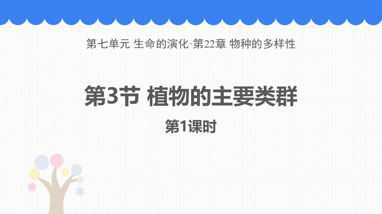 北师大版八年级下册生物《1植物的主要类群》课件