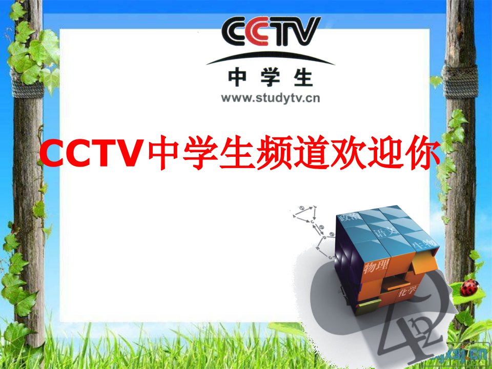 cctv岗前培训