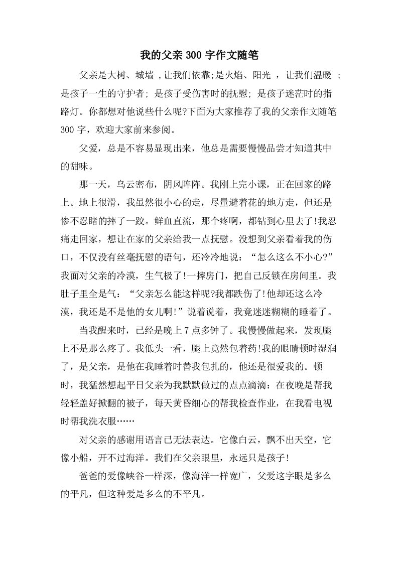 我的父亲300字作文随笔