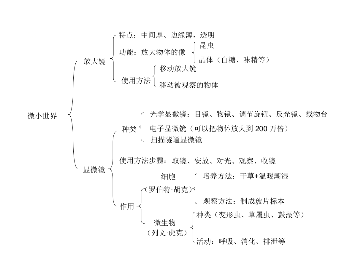 六年级下册科学素材-期末概念图-教科版