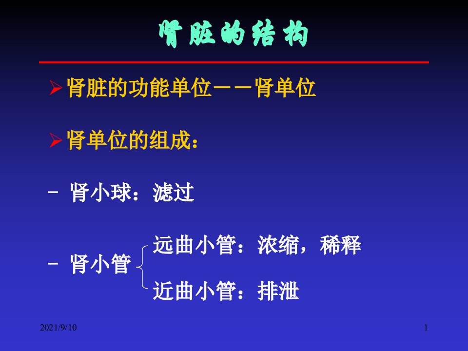 论肾脏病常用的实验室检查