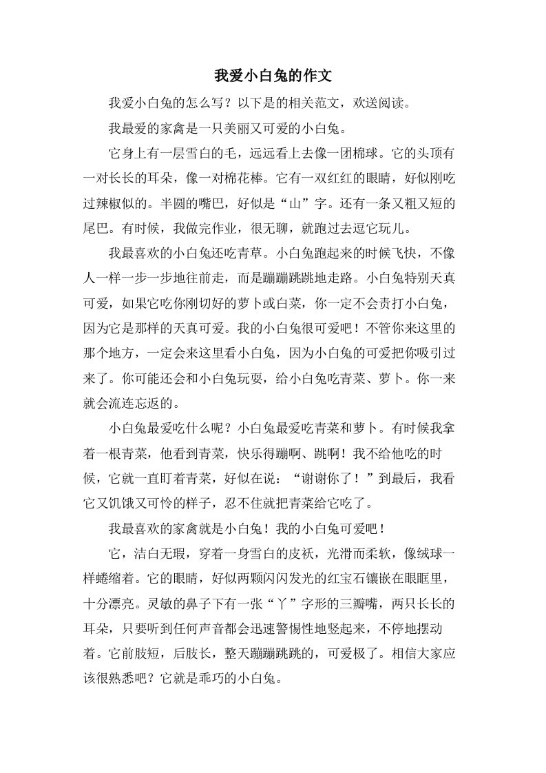 我爱小白兔的作文