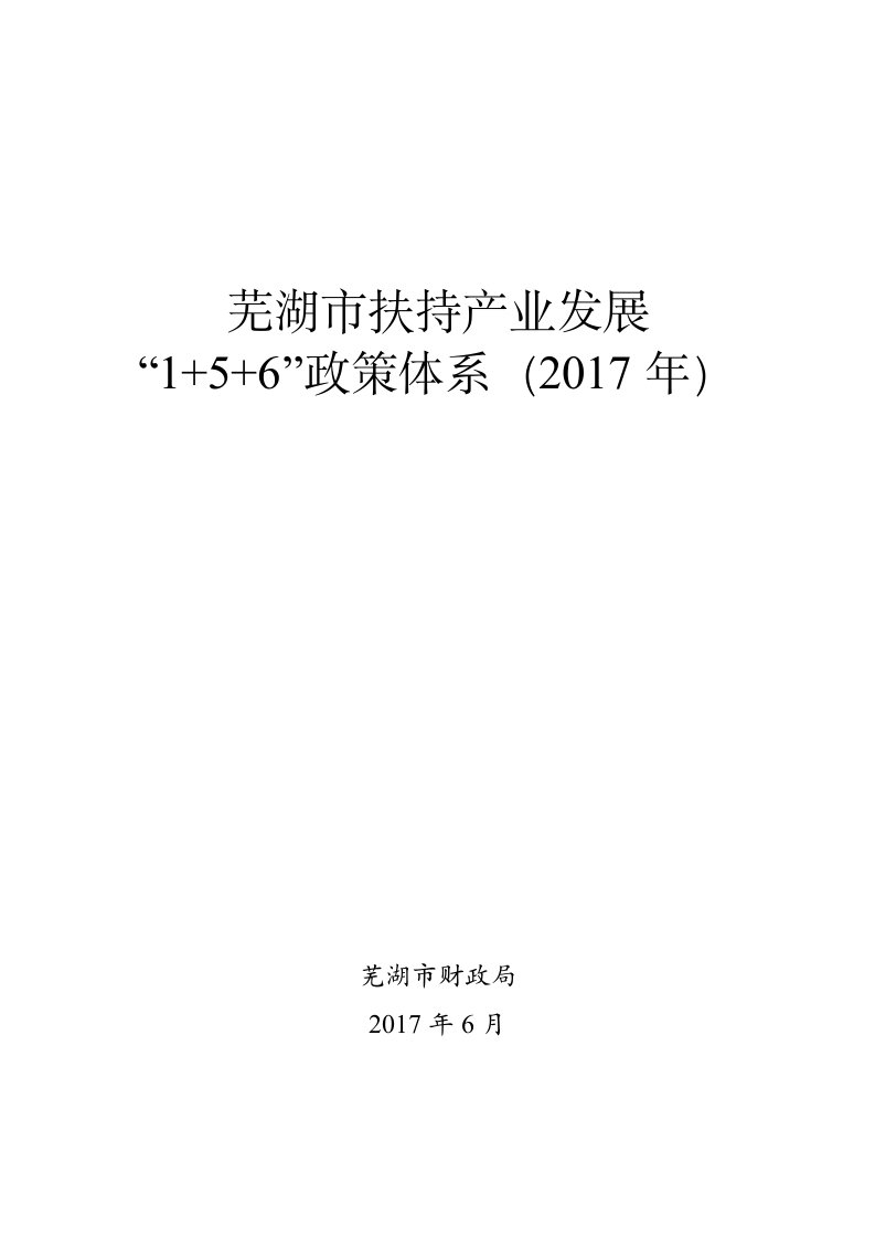 芜湖市扶持产业发展