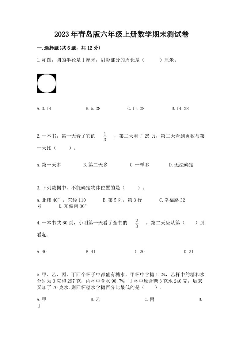 2023年青岛版六年级上册数学期末测试卷精品（基础题）