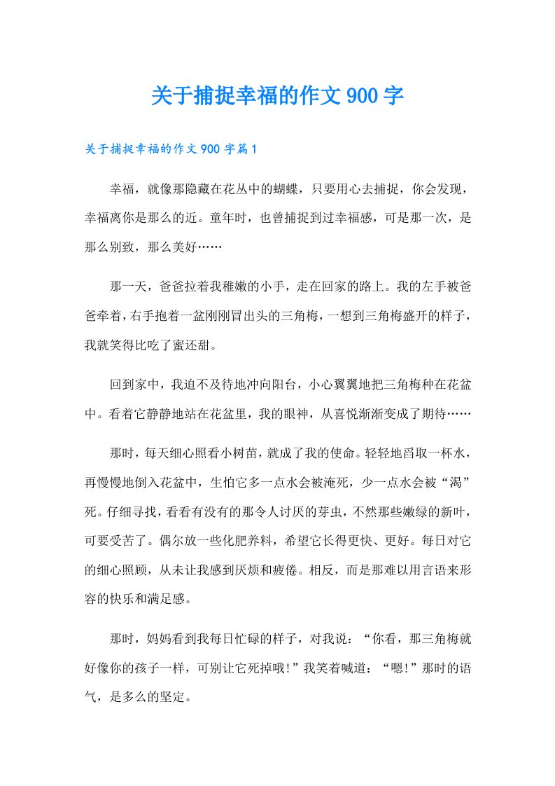 关于捕捉幸福的作文900字