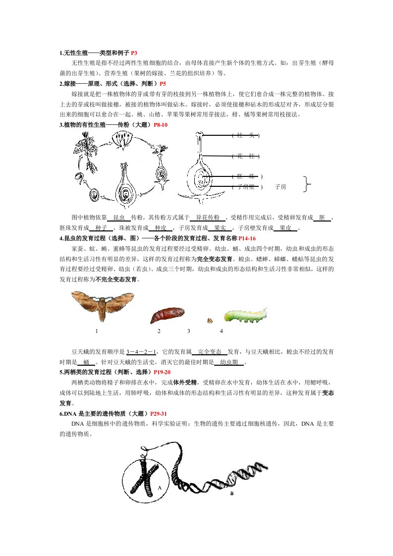 初中生物中考重点知识考点