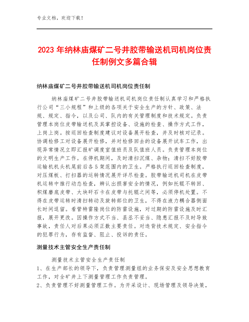 2023年纳林庙煤矿二号井胶带输送机司机岗位责任制例文多篇合辑