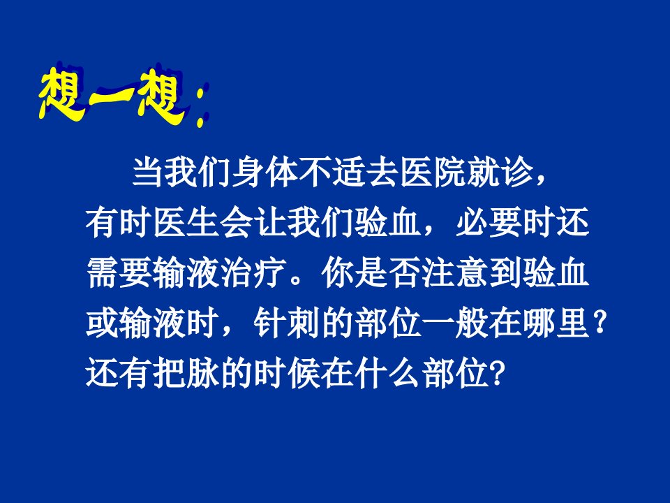 七年级生物血流的管道——血管1课件