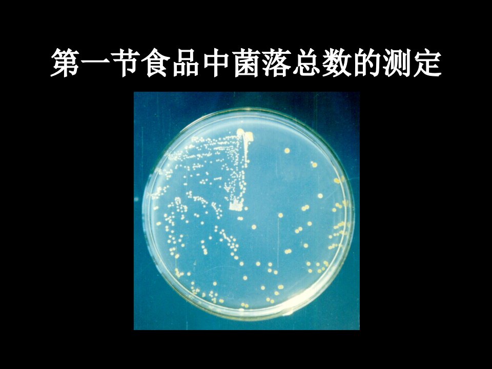 一节食品中菌落总数测定课件