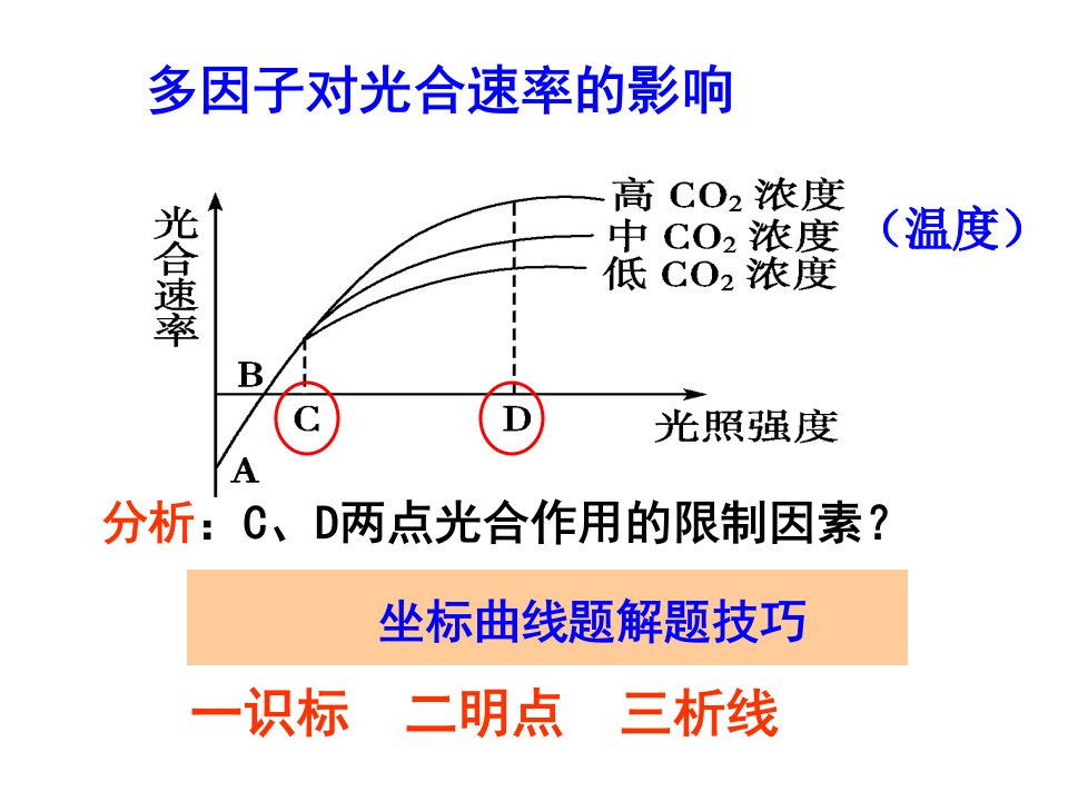 光合作用的应用