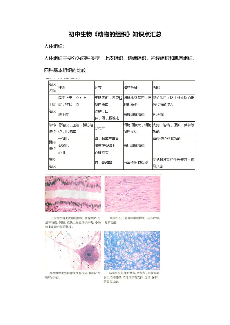 初中生物动物的组织知识点汇总