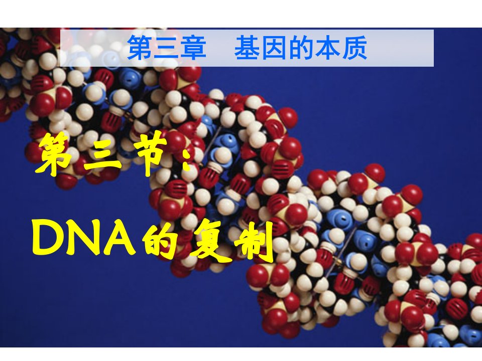 dna的复制