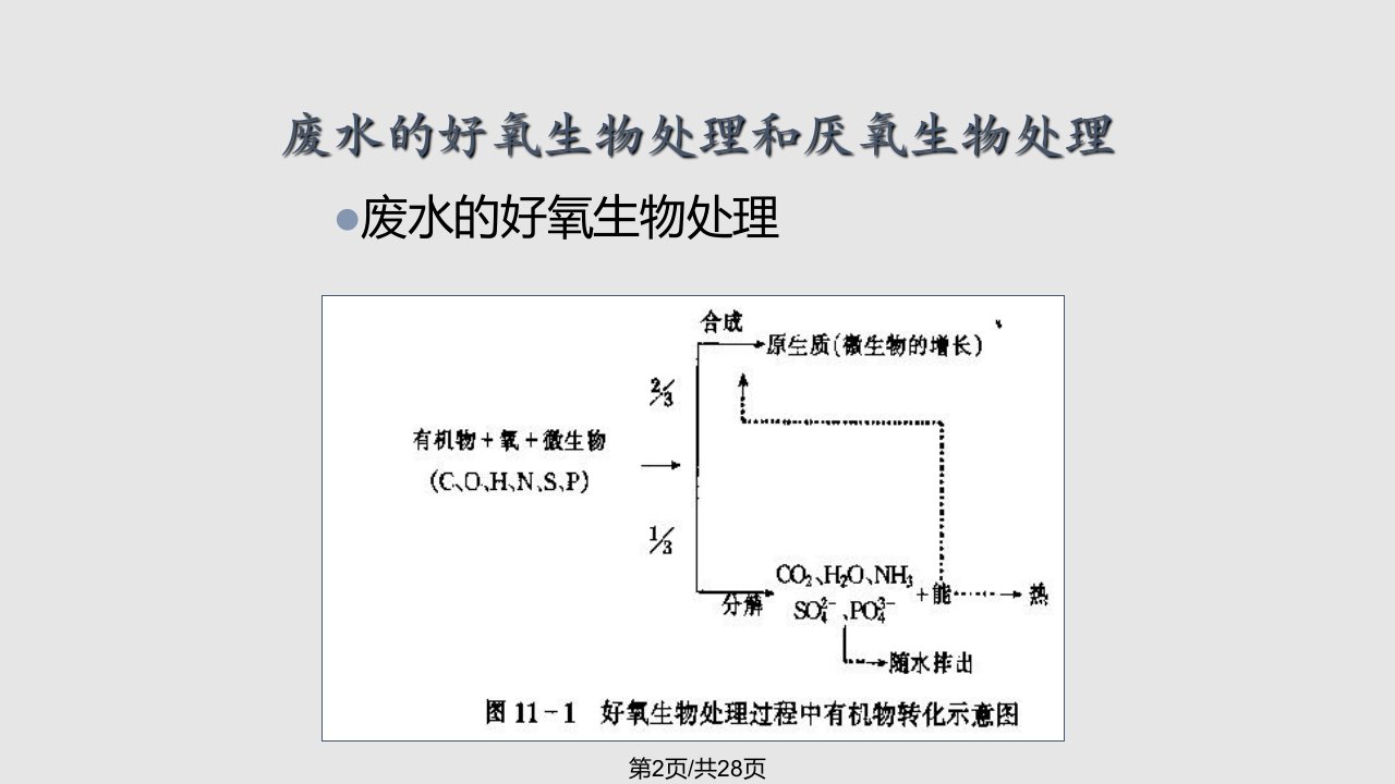 水污染控制工程反应动力学方程