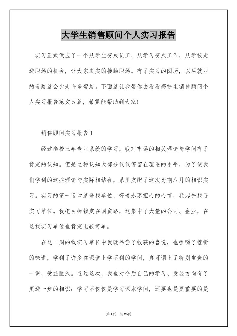 大学生销售顾问个人实习报告