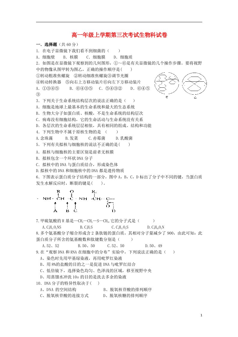 吉林省长市第二中学高一生物上学期第三次月考试题