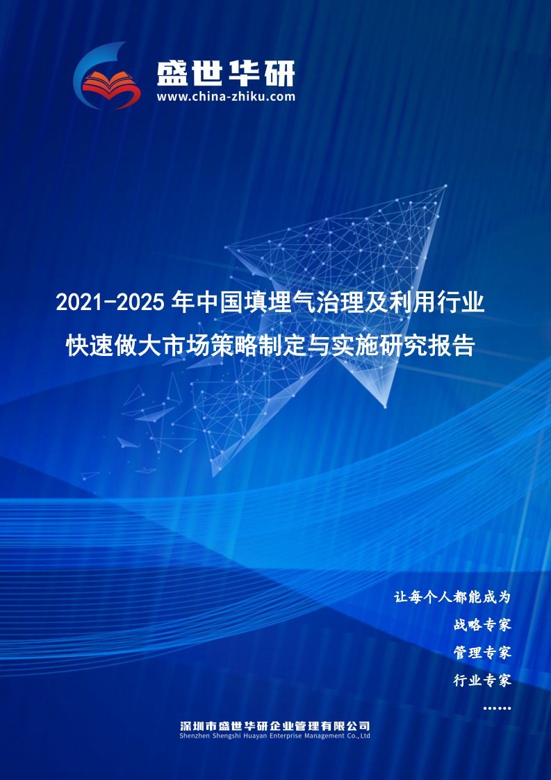 2021-2025年中国填埋气治理及利用行业快速做大市场规模策略制定与实施研究报告