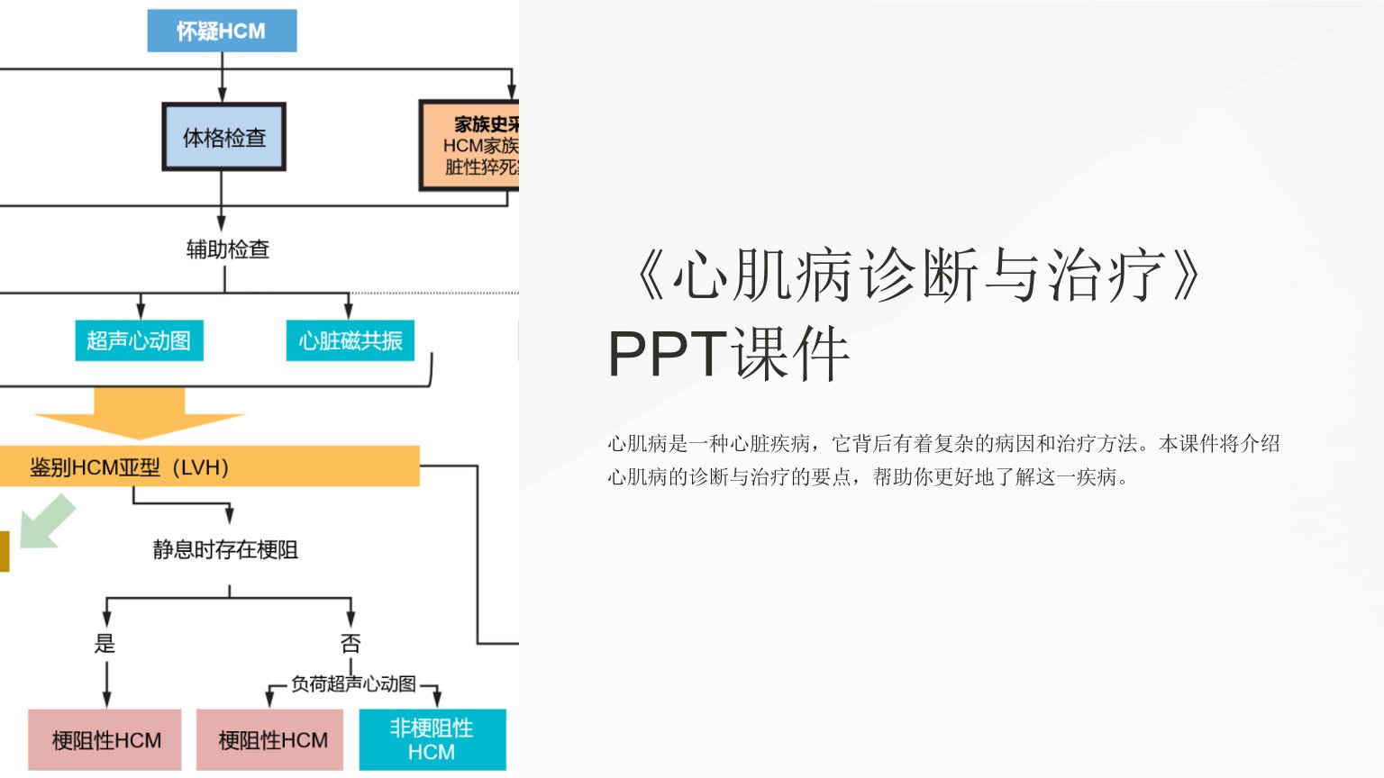 《心肌病诊断与治疗》课件