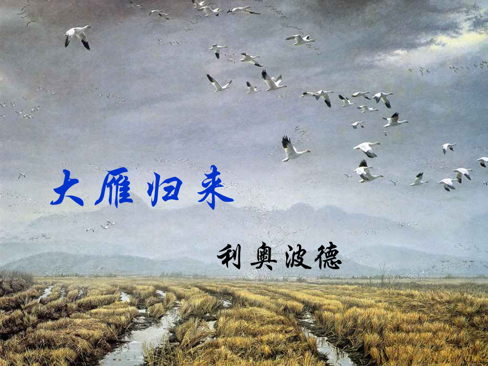 《大雁归来》课件1