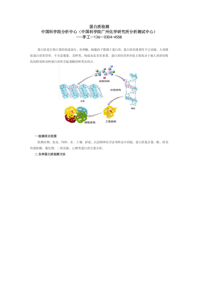 蛋白质检测