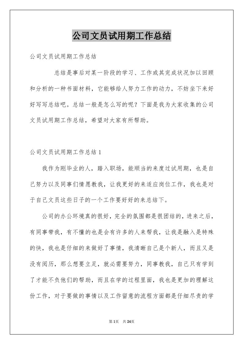 公司文员试用期工作总结例文2