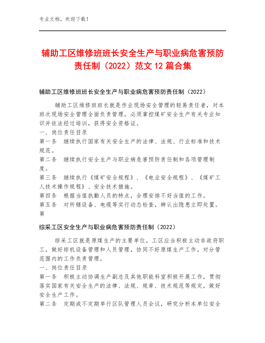 辅助工区维修班班长安全生产与职业病危害预防责任制（2022）范文12篇合集