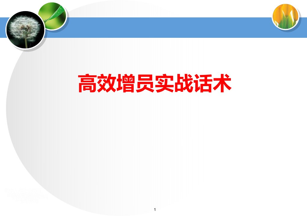 保险公司高效增员实战话术（PPT33页)