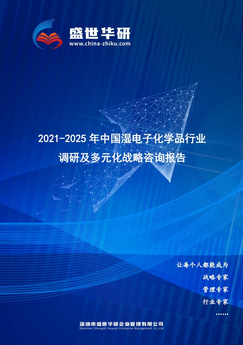 2021-2025年中国湿电子化学品行业调研及多元化战略咨询报告