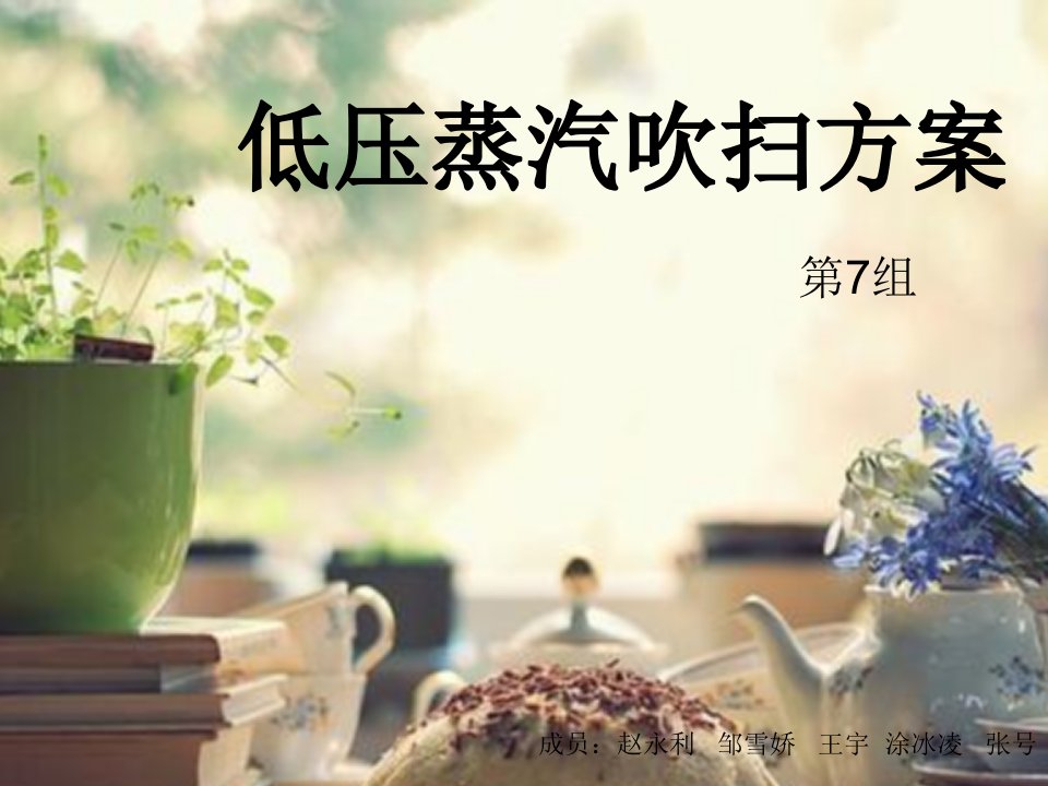 低压蒸汽吹扫方案