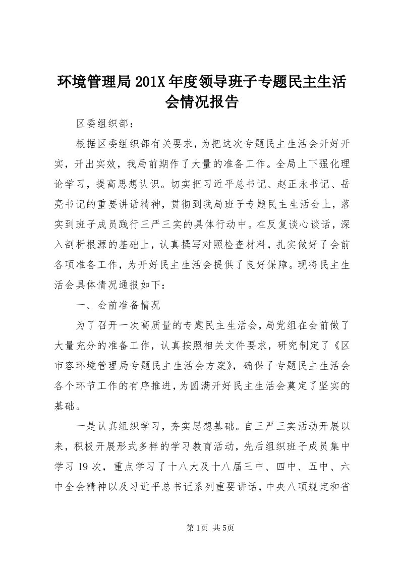 3环境管理局0X年度领导班子专题民主生活会情况报告