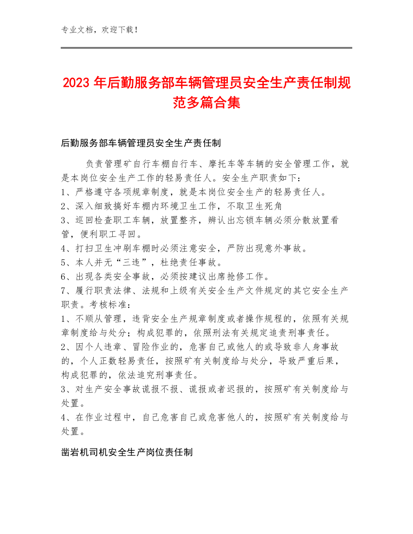 2023年后勤服务部车辆管理员安全生产责任制规范多篇合集