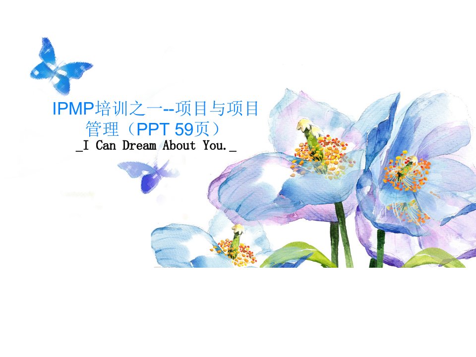 IPMP培训之一--项目与项目管理（PPT