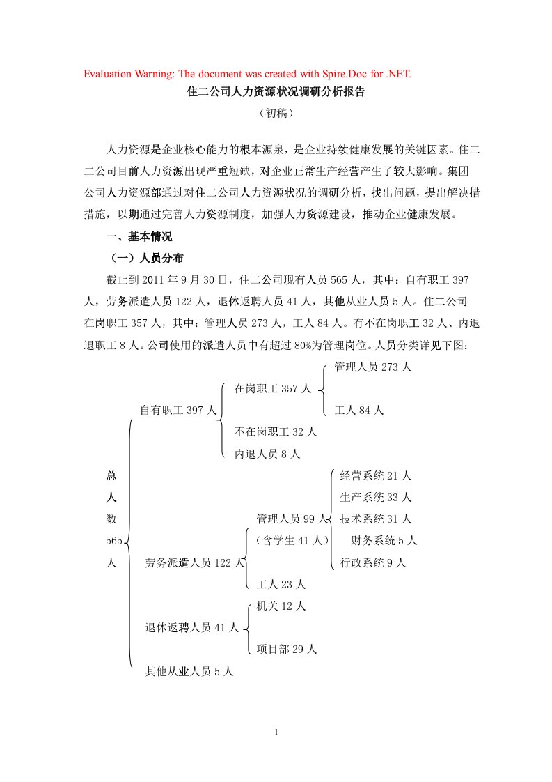 某某公司人力资源状况调研分析报告