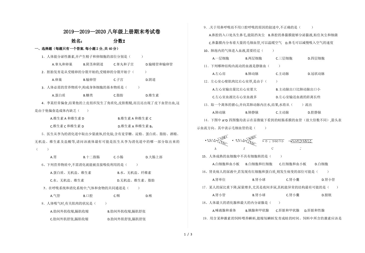 20192020八年级上册期末考试卷精编