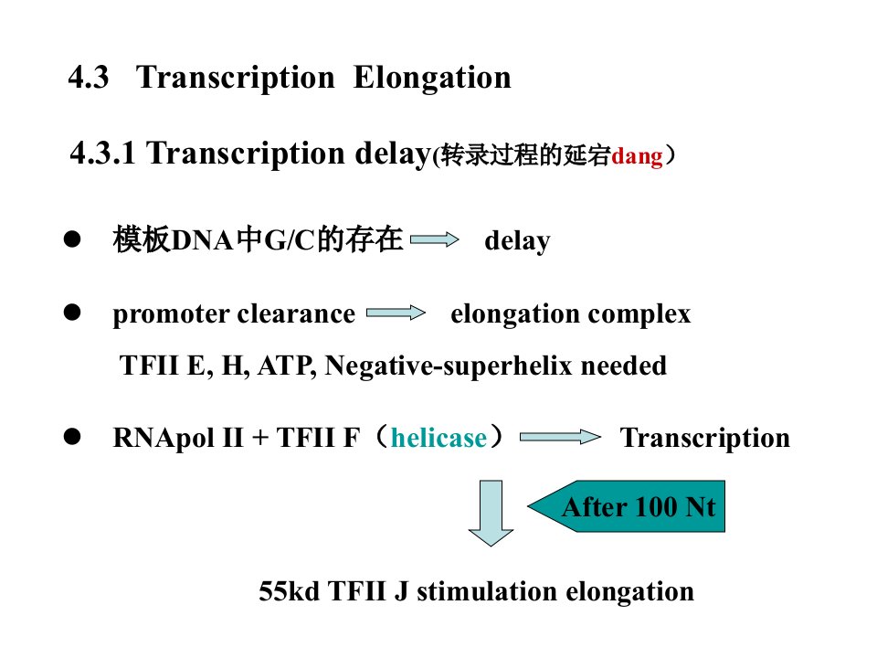 分子生物学第四章3