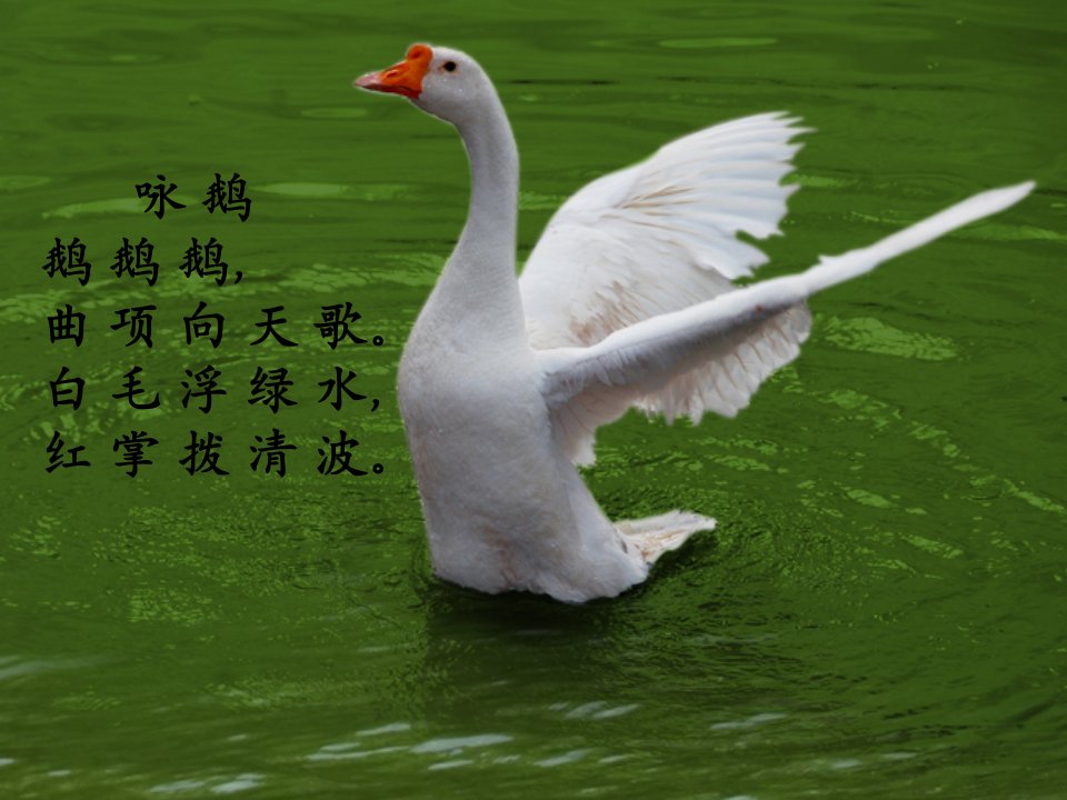 《诗情画意》课件