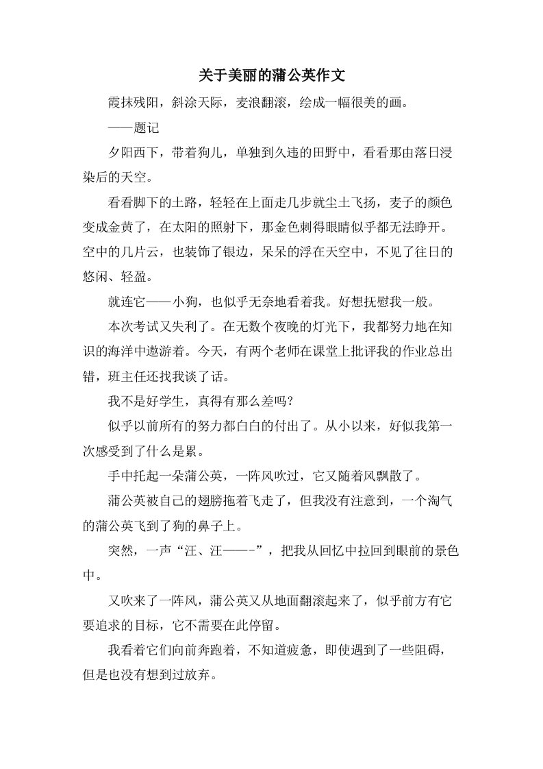 关于美丽的蒲公英作文